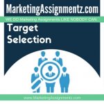 Target Market Selection